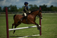 SOHS PC Summer Show at BCA 17th June 2012