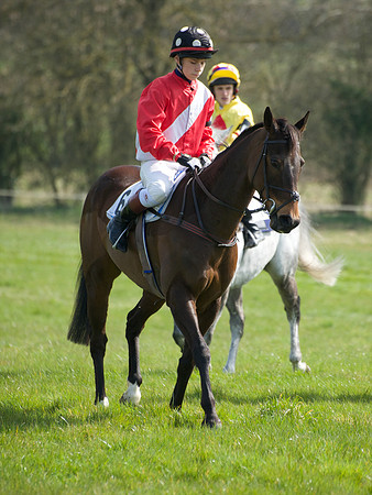 Pony Race 3 -  19