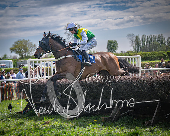 Race 2 - The Elliott of London maiden race (99 of 137)