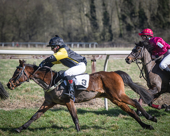 Pony Races (42 of 112)