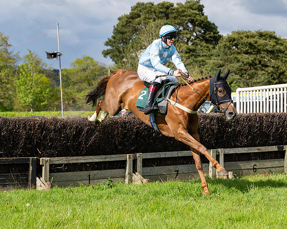 Race 5  - Maiden  (9 of 84)