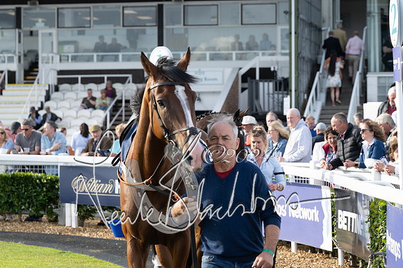 Race 3 - The pointtopoint.co.uk champion novices’ Hunter Chase (51 of 140)