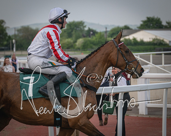 Race 5 - Mares Open Hunter Steeplechase 3m2f 70y (53 of 269)