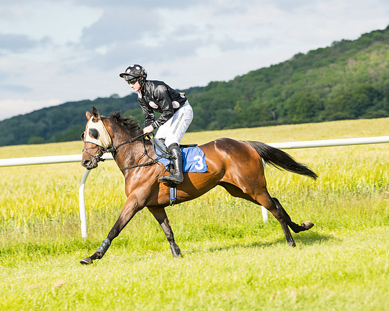 Race 6 - Open Maiden (33 of 227)