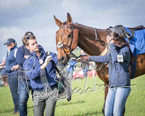 Race 6 - Thorn Plant Hire Maiden Race (14 of 129)