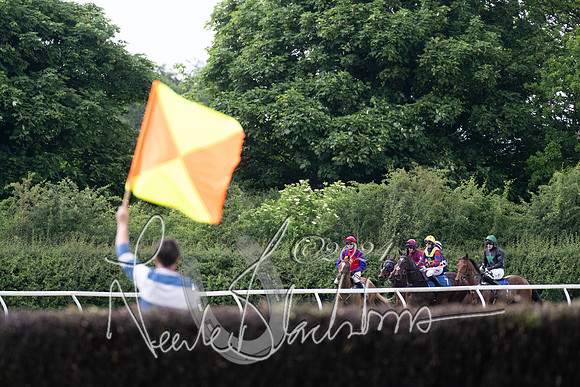 Race 3 - Conditions (144 of 367)