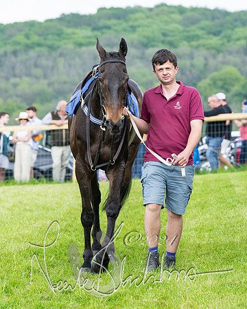 Race 2 - Restricted  (39 of 308)