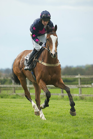 2m5f Maiden 17
