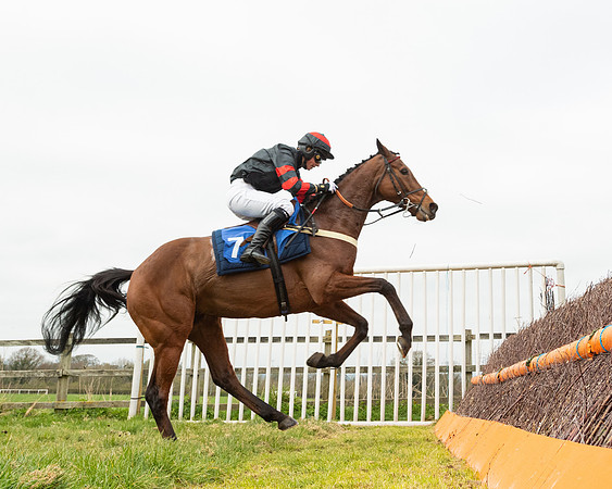 Race 2 - Veteran Horse (103 of 153)