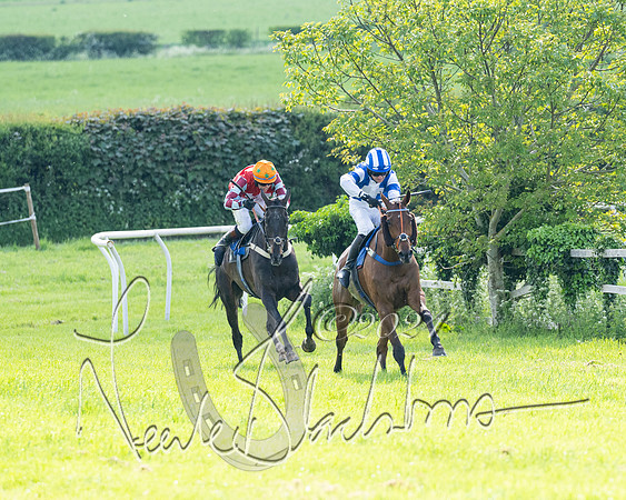 Race 5  - Maiden race 2m5F Div-1 (152 of 197)
