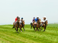 Ponies and Hounds 5
