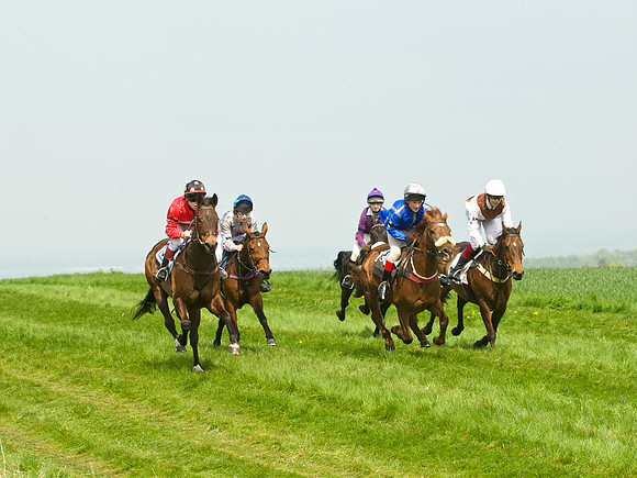 Ponies and Hounds 5