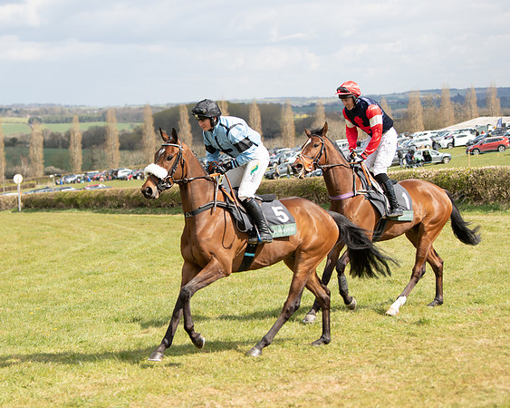 Race 2 - Young Horse Maiden (25 of 104)