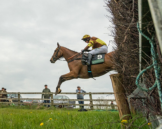 Race 2 - Jockey Club ROR veteran Horse (86 of 104)