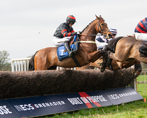 Race 2 - Veteran Horse (69 of 153)