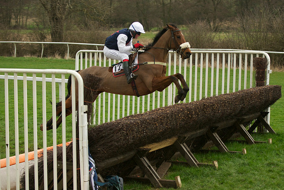 Race 5 - 53