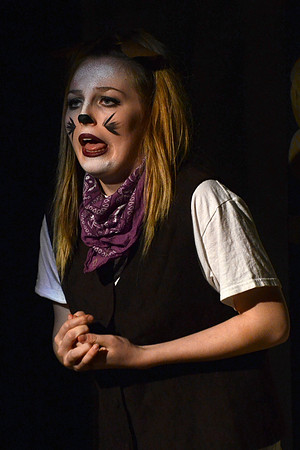 Wind in the Willows - Act-2  146