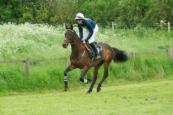 Race Six 8