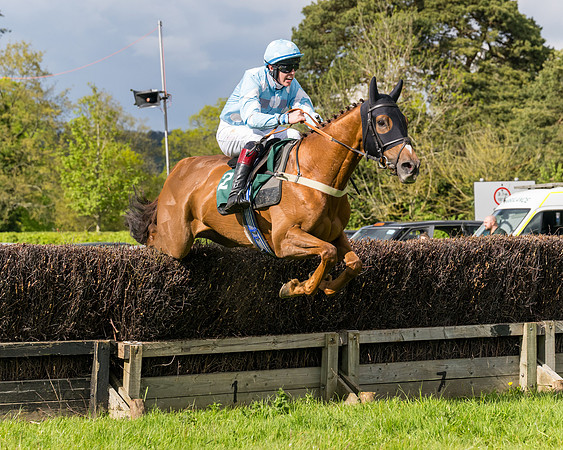Race 5  - Maiden  (6 of 84)