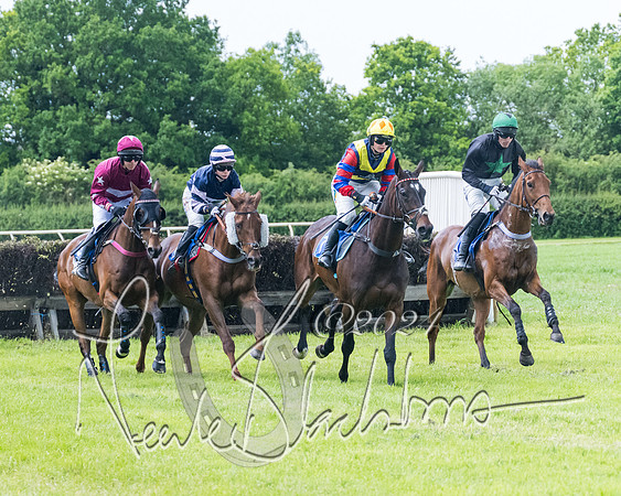 Race 3 - Conditions (173 of 367)