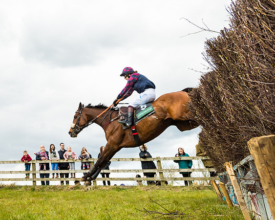 Race 3 - Owner Trainer conditions (106 of 132)