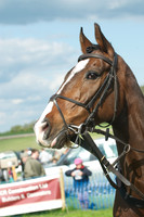 Race 5 -  15