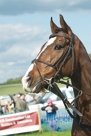Race 5 -  15
