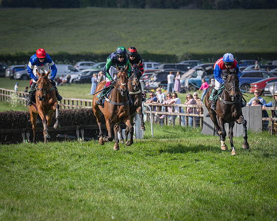 Race 6 - 2m5f Conditions (40 of 70)