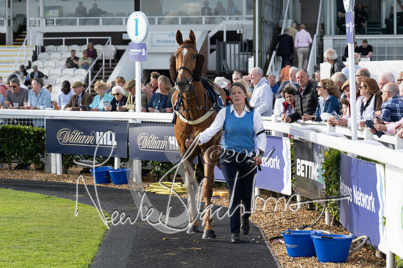 Race 3 - The pointtopoint.co.uk champion novices’ Hunter Chase (46 of 140)