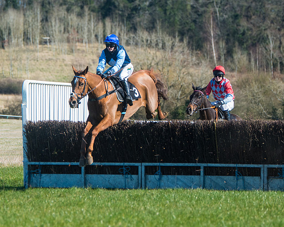 Race 2 - Warwick racecourse conditions  (16 of 122)