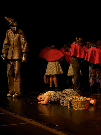 The Wizard of OZ -  195