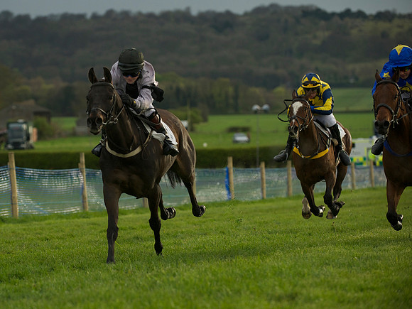 Pony Race 2 -  15