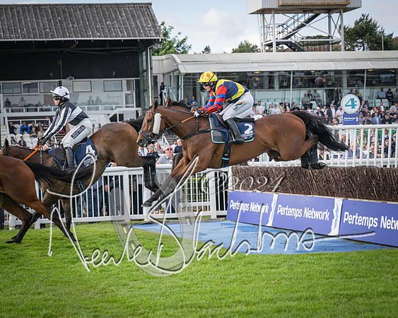 Race 2 - Olly Murphy Racing Stratford Ladies Open (80 of 111)