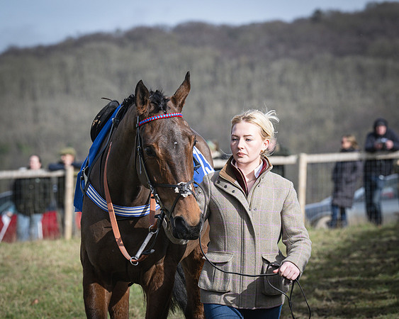 Race 3 - The Maiden Conditions (22 of 214)