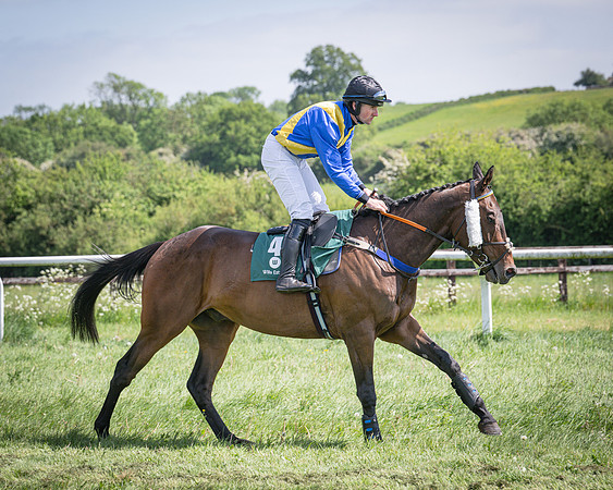 Race 2 - The Maiden (33 of 126)