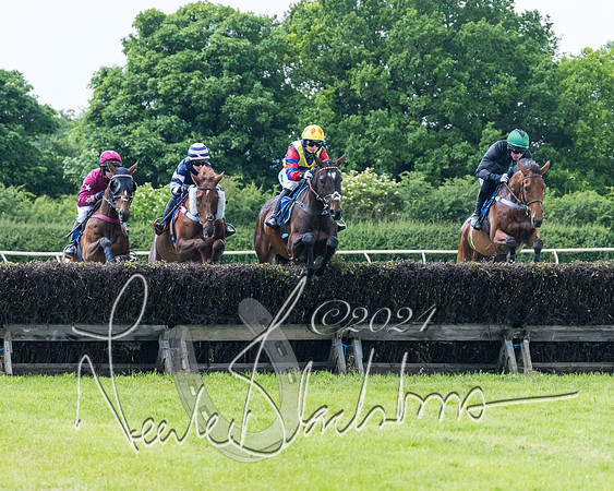 Race 3 - Conditions (163 of 367)