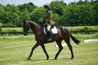 Jackson Dressage 22