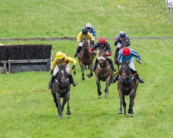 Race 8 - Bumper Div 2 (34 of 84)