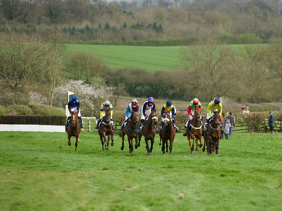 Race 5 - Restricted  45