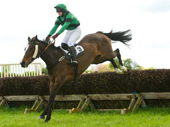 Kimblewick at Kimble Ladies Open