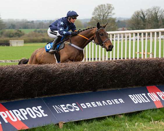 Race 2 - Veteran Horse (23 of 153)