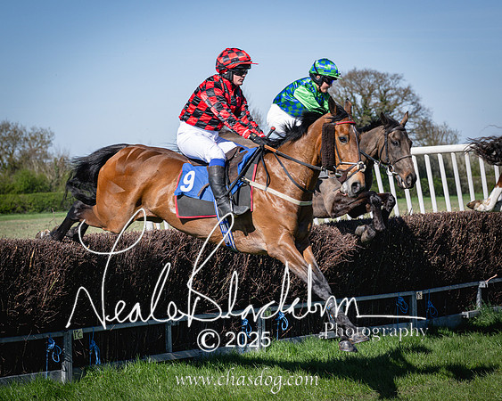 Race 5 - The restricted (57 of 113)
