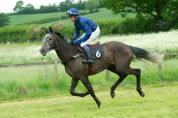 Race 6 - Open Maiden