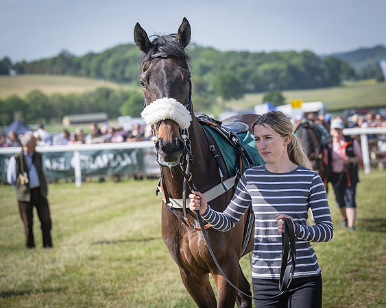 Race 5 - Restricted (15 of 116)