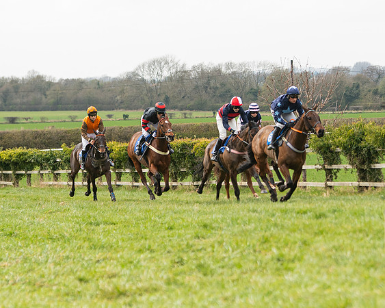 Race 2 - Veteran Horse (63 of 153)