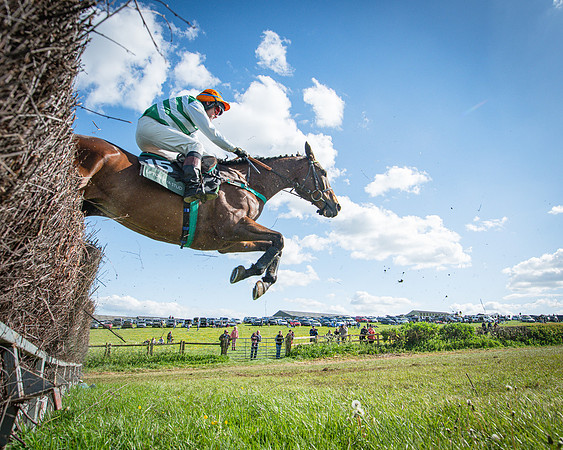 Race 5 - F N Pile and Sons PPORA Novice Riders (68 of 151)