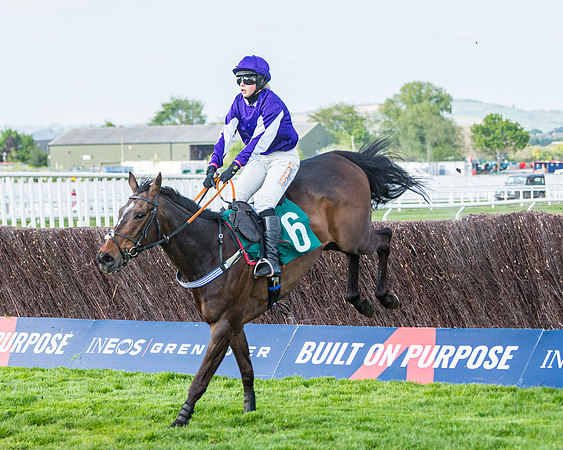 Race 1 - The open Hunter chase  (70 of 95)