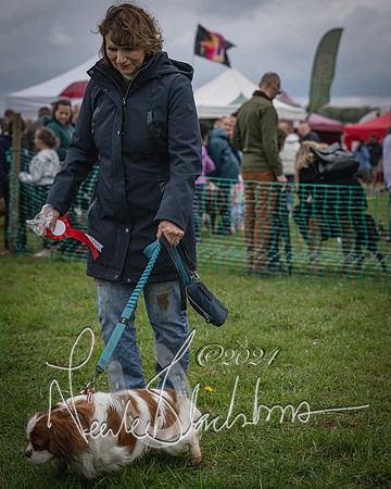Bicester - Dog Show (76 of 106)