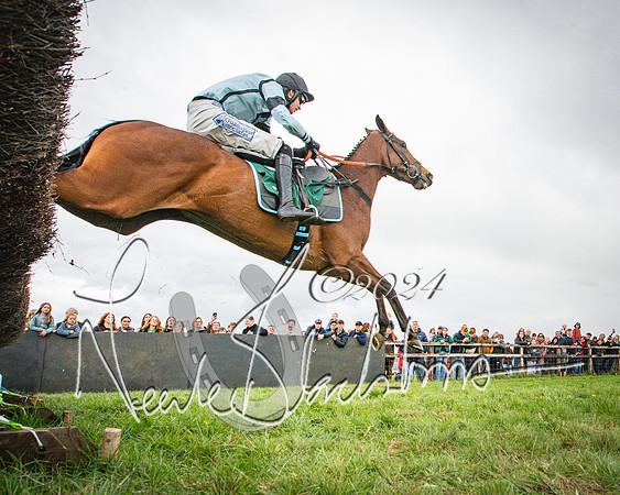 Race 2 - Tattersalls Cheltenham 4 year old Maiden (57 of 85)
