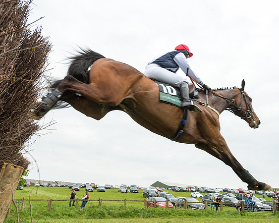 Race 7 - Open Maiden  (40 of 106)
